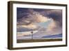 547-Dan Ballard-Framed Photographic Print