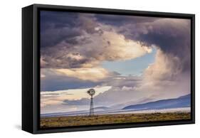 547-Dan Ballard-Framed Stretched Canvas