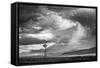 548-Dan Ballard-Framed Stretched Canvas