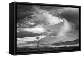 548-Dan Ballard-Framed Stretched Canvas