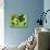 54CO-Pierre Henri Matisse-Stretched Canvas displayed on a wall