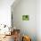 54CO-Pierre Henri Matisse-Giclee Print displayed on a wall