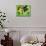 54CO-Pierre Henri Matisse-Mounted Giclee Print displayed on a wall