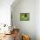 54CO-Pierre Henri Matisse-Framed Stretched Canvas displayed on a wall