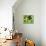 54CO-Pierre Henri Matisse-Stretched Canvas displayed on a wall