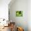 54CO-Pierre Henri Matisse-Giclee Print displayed on a wall