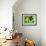 54CO-Pierre Henri Matisse-Framed Giclee Print displayed on a wall