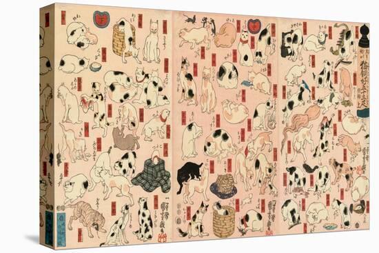 55 Cats Representing the Fifty-Three Stations of the Tokaido-Kuniyoshi Utagawa-Stretched Canvas
