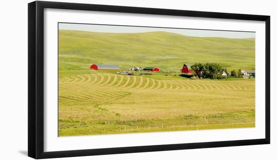 556-Dan Ballard-Framed Photographic Print