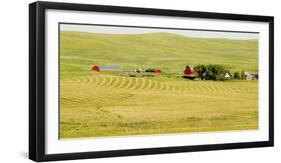 556-Dan Ballard-Framed Photographic Print