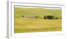 556-Dan Ballard-Framed Photographic Print