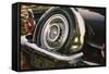 '56 Thunderbird-Graham Reynolds-Framed Stretched Canvas