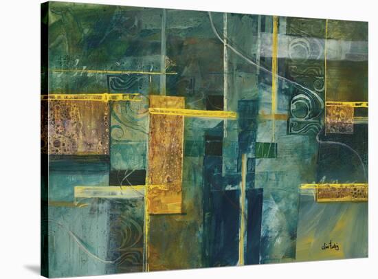 560-Lisa Fertig-Stretched Canvas