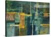 560-Lisa Fertig-Stretched Canvas