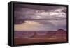 567-Dan Ballard-Framed Stretched Canvas