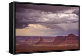 567-Dan Ballard-Framed Stretched Canvas