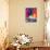 56CO-Pierre Henri Matisse-Stretched Canvas displayed on a wall