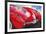 '57 Corvette-Graham Reynolds-Framed Premium Giclee Print