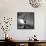 '57 Eldorado Seville-Daniel Stein-Framed Stretched Canvas displayed on a wall