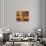 570-Lisa Fertig-Stretched Canvas displayed on a wall
