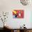 57CO-Pierre Henri Matisse-Stretched Canvas displayed on a wall