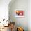 57CO-Pierre Henri Matisse-Framed Giclee Print displayed on a wall