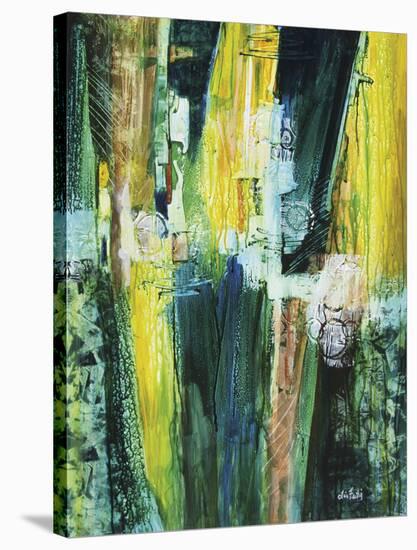 580-Lisa Fertig-Stretched Canvas