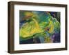 587-Lisa Fertig-Framed Giclee Print