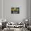 589-Lisa Fertig-Stretched Canvas displayed on a wall