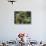 593-Lisa Fertig-Stretched Canvas displayed on a wall