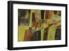 594-Lisa Fertig-Framed Giclee Print