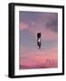 #596-spacerocket art-Framed Photographic Print