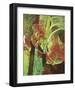 597-Lisa Fertig-Framed Giclee Print