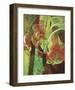 597-Lisa Fertig-Framed Giclee Print