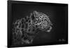 5FishCreative - Leopard Portrait-Trends International-Framed Poster