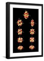 5g Electron Orbitals-Dr. Mark J.-Framed Premium Photographic Print