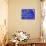 5G-Pierre Henri Matisse-Giclee Print displayed on a wall