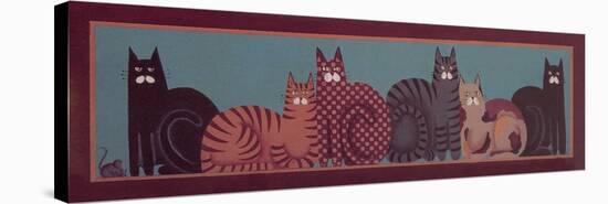 6 Cats with Border-Beverly Johnston-Stretched Canvas
