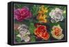 6 Flowers-Howie Green-Framed Stretched Canvas