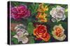 6 Flowers-Howie Green-Stretched Canvas