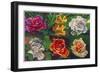 6 Flowers-Howie Green-Framed Giclee Print