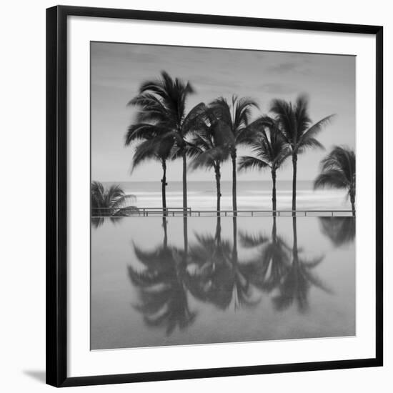 6 Palmeras-Moises Levy-Framed Premium Photographic Print