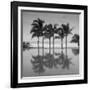 6 Palmeras-Moises Levy-Framed Premium Photographic Print