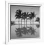 6 Palmeras-Moises Levy-Framed Photographic Print