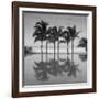 6 Palmeras-Moises Levy-Framed Photographic Print