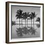 6 Palmeras-Moises Levy-Framed Photographic Print