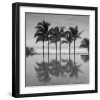 6 Palmeras-Moises Levy-Framed Photographic Print