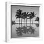 6 Palmeras-Moises Levy-Framed Photographic Print