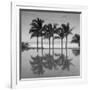 6 Palmeras-Moises Levy-Framed Photographic Print