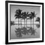 6 Palmeras-Moises Levy-Framed Photographic Print